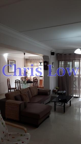 Blk 521 Jelapang Road (Bukit Panjang), HDB Executive #117730362